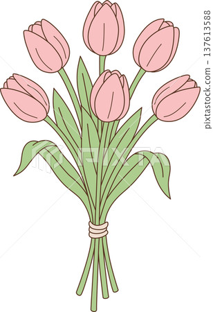 Pink Tulips Bouquet Tied with String Illustration, Beautiful Spring Floral Bunch Vector, Minimalist Flower Gift Cartoon Pink Tulips Bouquet Tied with String Illustration, Beautiful Spring Floral Bunch Vector, Minimalist Flower Gift Cartoon 137613588