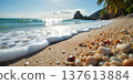 Serene beach scene with clear blue waters. 137613884