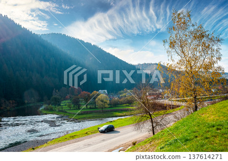 mountain landscape during fall season. rural scenery of transcarpathia with rika river in the afternoon light. picture of a countryside road through valley near soimy village for travel background mountain landscape during fall season. rural scenery of transcarpathia with rika river in the afternoon light. picture of a countryside road through valley near soimy village for travel background 137614271