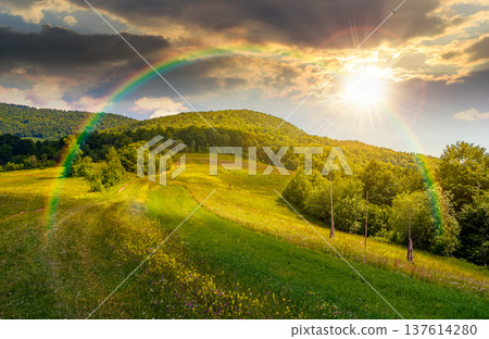 sunset over grassy rural fields in mountain landscape. country road to the forest through rolling hills. beautiful picture of a scenery on summer weather with clouds on sky under rainbow 137614280