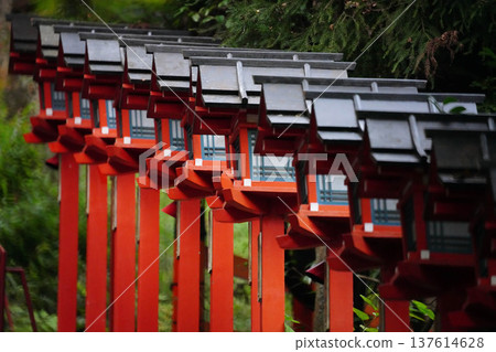 京都貴船神社入口處的階梯、鳥居與燈籠 137614628