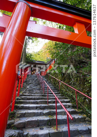 Stairs, torii gates and lanterns on the approach to Kifune Shrine in Kyoto Stairs, torii gates and lanterns on the approach to Kifune Shrine in Kyoto 137614637