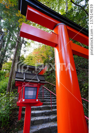 京都貴船神社入口處的階梯、鳥居與燈籠 京都貴船神社入口處的階梯、鳥居與燈籠 137614639
