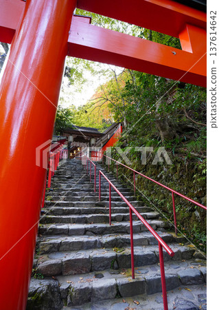 Stairs, torii gates and lanterns on the approach to Kifune Shrine in Kyoto Stairs, torii gates and lanterns on the approach to Kifune Shrine in Kyoto 137614642