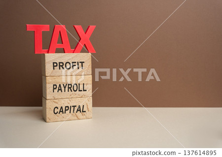 Blocks with the words tax, profit, payroll, and capital. Business concepts, taxes and taxation. 137614895