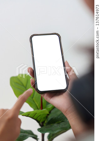 Screen display on smartphone held by user with plant background 137614973