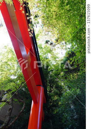 The vermilion torii gate of Kifune Shrine The vermilion torii gate of Kifune Shrine 137615099
