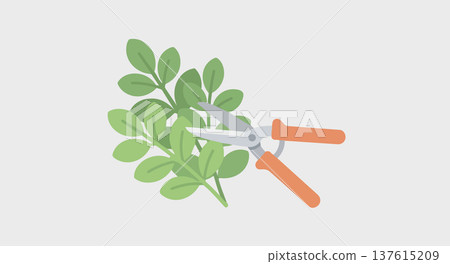Garden pruners trimming a leafy branch representing plant care pruning and landscaping work simple Garden pruners trimming a leafy branch representing plant care pruning and landscaping work simple 137615209