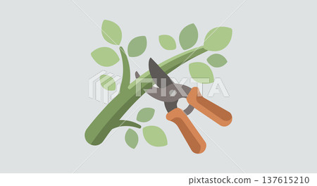 Hand pruners cutting a green branch with leaves symbol of gardening plant maintenance trimming bushes Hand pruners cutting a green branch with leaves symbol of gardening plant maintenance trimming bushes 137615210