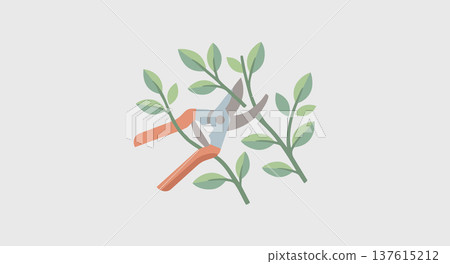 Garden pruning tool cutting fresh leafy branch concept of plant care landscaping trimming and maintaining healthy plants Garden pruning tool cutting fresh leafy branch concept of plant care landscaping trimming and maintaining healthy plants 137615212