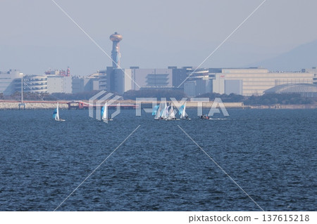 The sea seen from Rinkai Park The sea seen from Rinkai Park 137615218