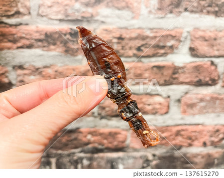 Dried firefly squid is a Toyama Prefecture specialty. Dried firefly squid seasoned only with salt. 137615270