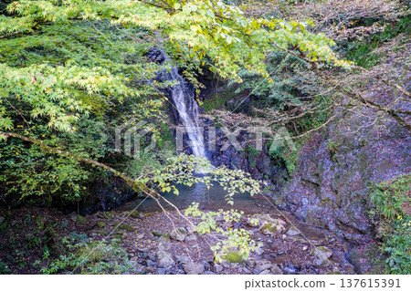 Waterwheel Falls (Saitoma City) Waterwheel Falls (Saitoma City) 137615391
