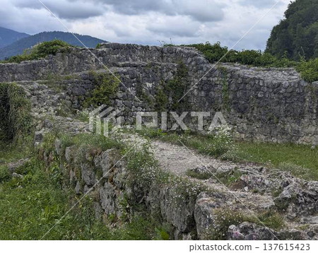 Scenic panoramic view of the town of Kamnik with the old castle on the hill in Slovenia Scenic panoramic view of the town of Kamnik with the old castle on the hill in Slovenia 137615423