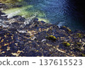 Crystal clear turquoise water of the Sava Bohinjka river flowing 137615523