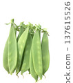 Fresh bunch of snow peas - transparent PNG 137615526
