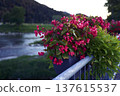 Panoramic view of the town of Sentjur in Slovenia with mountains in the background 137615537
