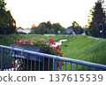 Panoramic view of the town of Sentjur in Slovenia with mountains in the background 137615539