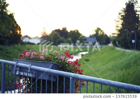 Panoramic view of the town of Sentjur in Slovenia with mountains in the background Panoramic view of the town of Sentjur in Slovenia with mountains in the background 137615539