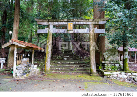 View of the torii gate of Ginkyou Shrine (Saitama City) View of the torii gate of Ginkyou Shrine (Saitama City) 137615605