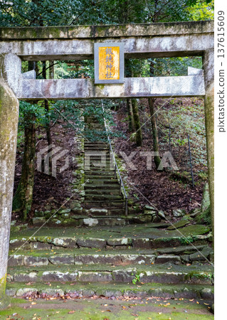 View of the torii gate of Ginkyou Shrine (Saitama City) View of the torii gate of Ginkyou Shrine (Saitama City) 137615609