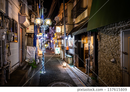 JR大森站及山王小路餐飲區(地獄谷)的夜景,以及充滿昭和時代復古氣息的小巷和招牌。 JR大森站及山王小路餐飲區(地獄谷)的夜景,以及充滿昭和時代復古氣息的小巷和招牌。 137615809