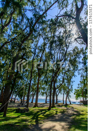 A beautiful view of Le Morne Beach in Mauritius A beautiful view of Le Morne Beach in Mauritius 137615871