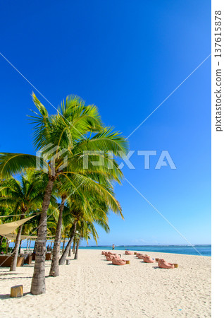 毛里求斯勒莫納海灘的美麗景色 137615878