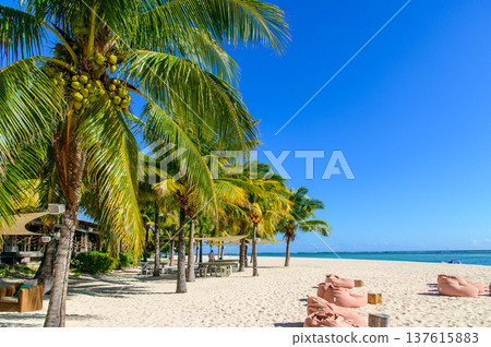 A beautiful view of Le Morne Beach in Mauritius 137615883