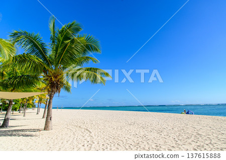 A beautiful view of Le Morne Beach in Mauritius A beautiful view of Le Morne Beach in Mauritius 137615888