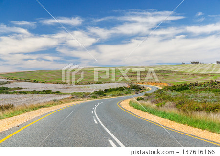 Asphalt road in South Africa surrounded by fields 137616166