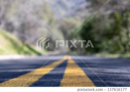 Yellow road marking in US national park Yellow road marking in US national park 137616177