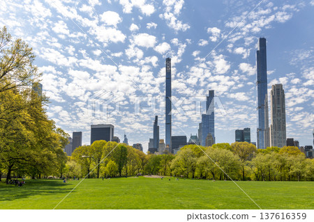 Green lawn in Central Park with skyscrapers 137616359