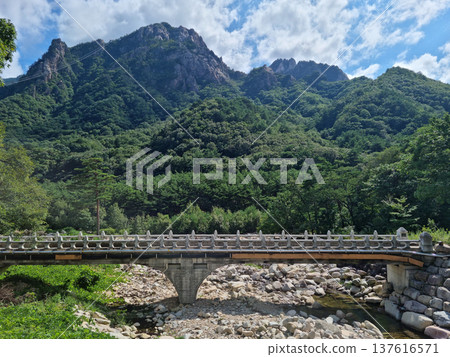 This is the valley scenery of Seoraksan Mountain in Korea. This is the valley scenery of Seoraksan Mountain in Korea. 137616571