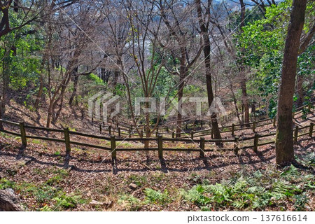 Awa Earth Pillar Hiking Course Awa Earth Pillar Hiking Course 137616614