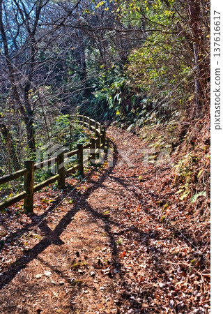 阿瓦地柱健行路線 137616617