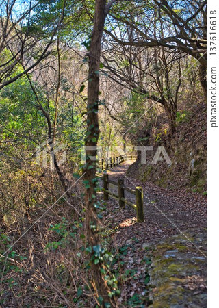 Awa Earth Pillar Hiking Course Awa Earth Pillar Hiking Course 137616618