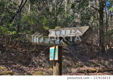 Awa Earth Pillar Hiking Course Awa Earth Pillar Hiking Course 137616619