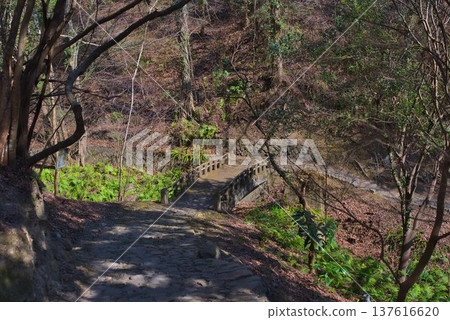 阿瓦地柱健行路線 137616620