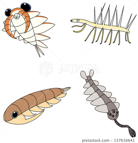 寒武紀生物材料套裝 寒武紀生物材料套裝 137616641