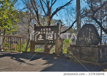 阿波的土柱 137616646