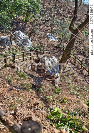 阿瓦地柱健行路線 137616648