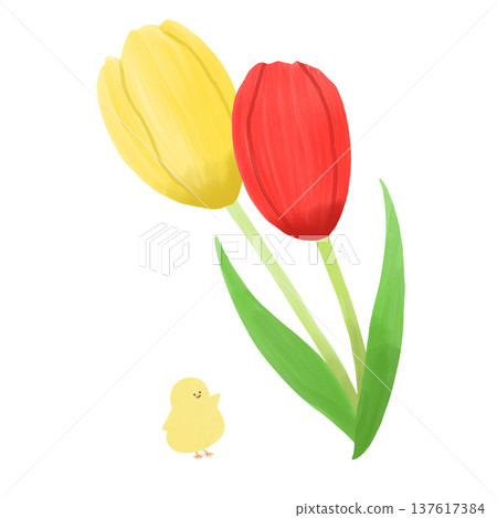 Chicks and Tulips Chicks and Tulips 137617384