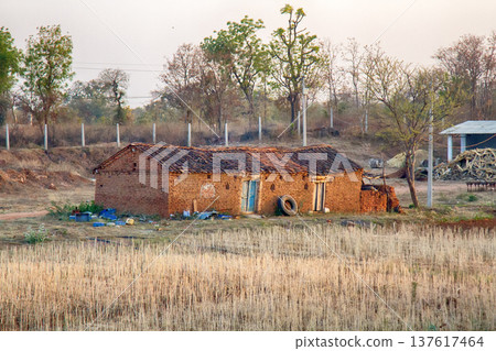 Indian agricultural areas with houses of ryots (peasants), tropical agriculture Indian agricultural areas with houses of ryots (peasants), tropical agriculture 137617464