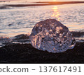 Jewelry Ice at Orakumo Coast 137617491