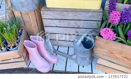 Pink garden boots and a zinc watering can with spring hyacinths in wooden crates on a white terrace 137617532