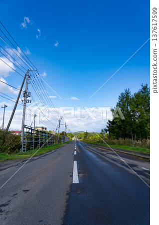 北海道的筆直道路 137617599