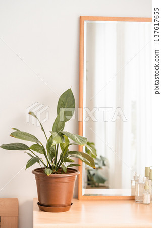 Wooden vanity chest of drawers holding a potted plant, various skincare bottles, and a mirror reflecting a bright window. Vanity dressing table with plant and skincare products Wooden vanity chest of drawers holding a potted plant, various skincare bottles, and a mirror reflecting a bright window. Vanity dressing table with plant and skincare products 137617655