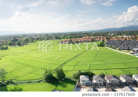 Landscape in San Sai, Chiang Mai 137617689