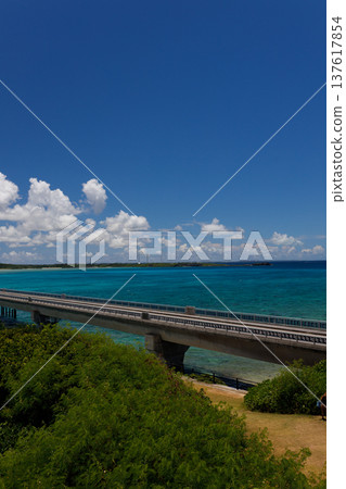 眺望池間橋,碧空之下,一座翠綠的橋樑橫跨其上。 眺望池間橋,碧空之下,一座翠綠的橋樑橫跨其上。 137617854